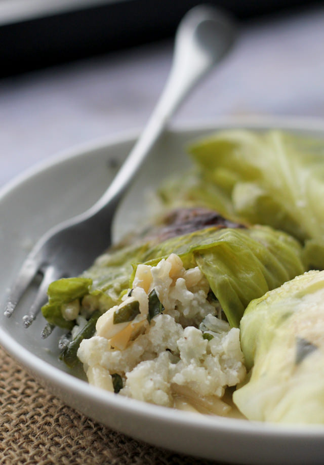 stuffed cabbage with ricotta and pine nuts