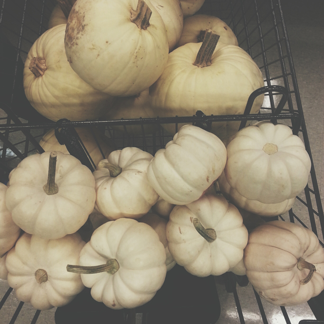 white pumpkins