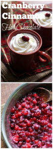cranberry cinnamon hot chocolate