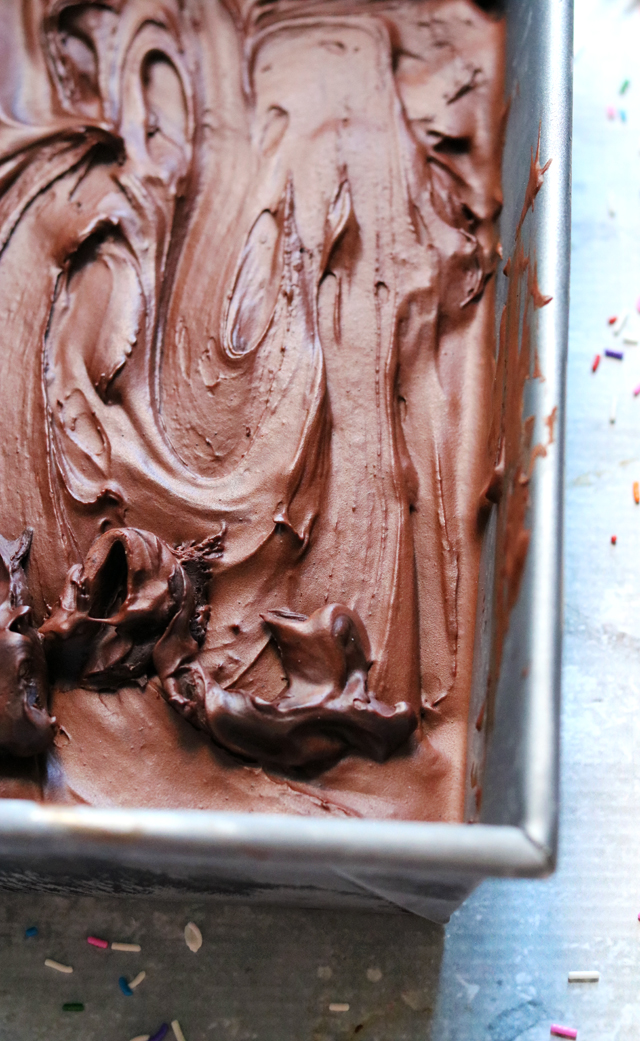 Devil's Food Darkest Chocolate Ice Cream