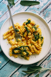 Pasta with Creamy Parmesan Butternut Squash Sauce